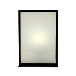 the wall sconce