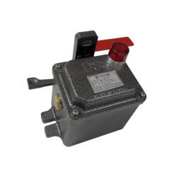 Explosion Proof Pullcord Switch for Conveyor Belt(Upper Cover & Lamp Type)
(DBSS-10EX-UL)