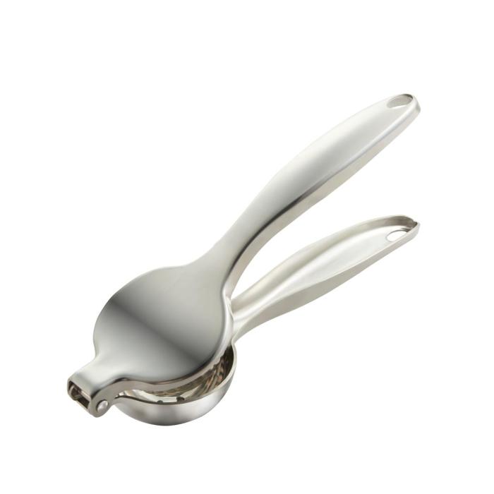 the spoon