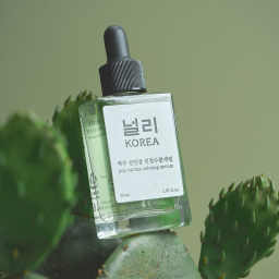 jeju cactus calming serum