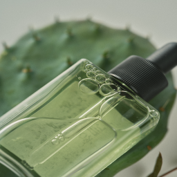 jeju cactus calming serum