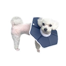 navy pet recovery collar