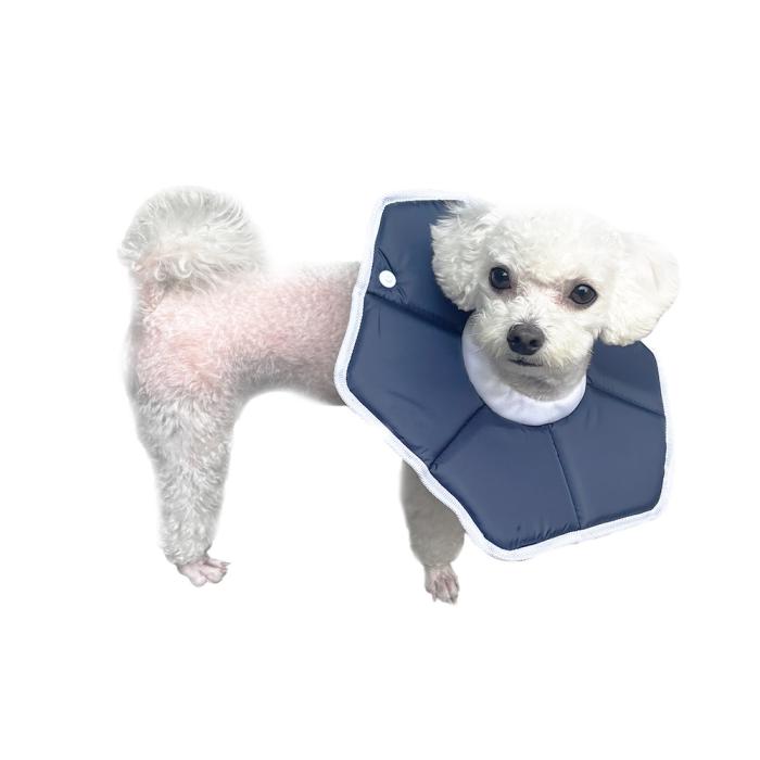 navy pet recovery collar