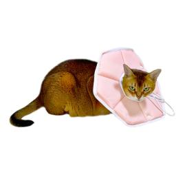 pink pet recovery collar