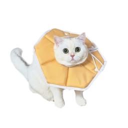 beige pet recovery collar