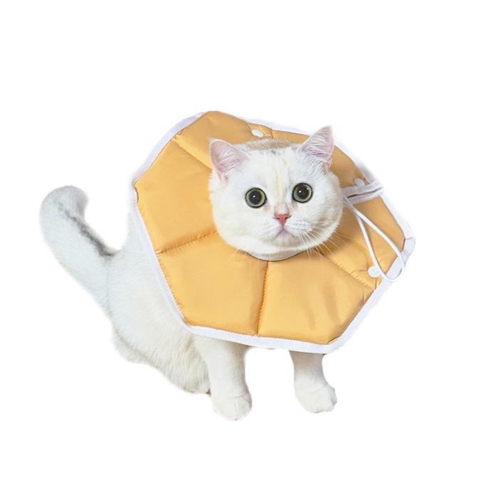 beige pet recovery collar