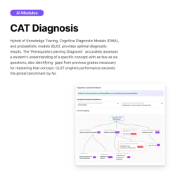 CAT Diagnosis. The image shows a diagram of a student's CAT diagnostic process
