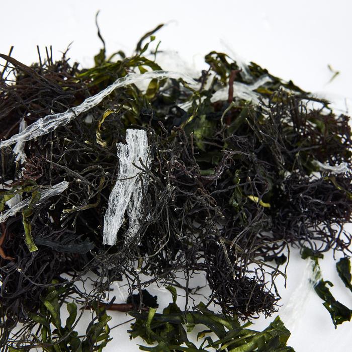 seaweed