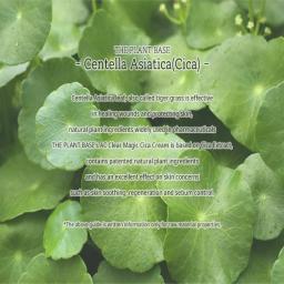 cica repair cream