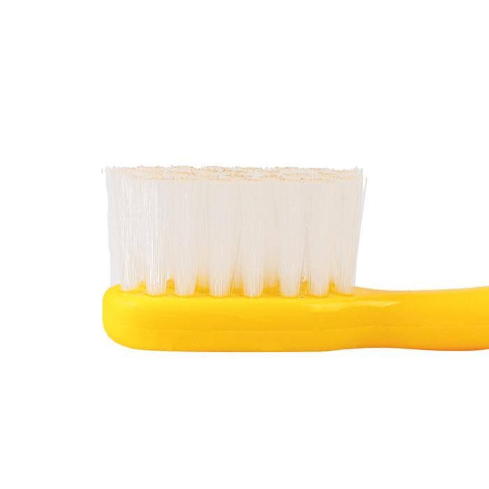 toothbrush