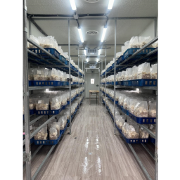 smart mushroom grower