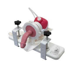 BPH Surgery Training Model - Compact