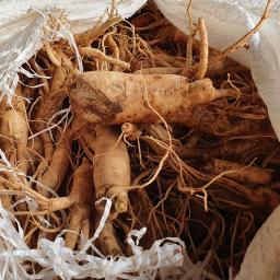 a bag of parsnips