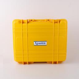 yellow case