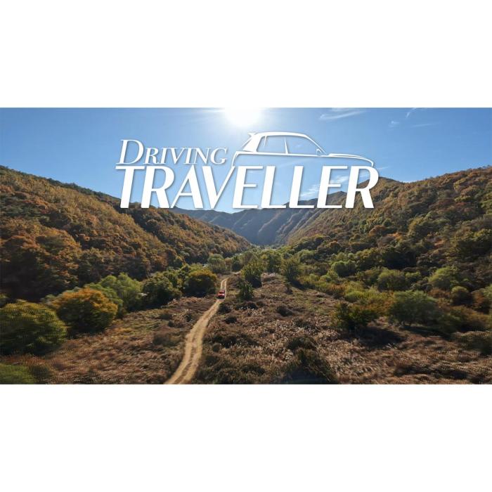 driving traveler