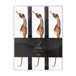 the packaging design for seahorses