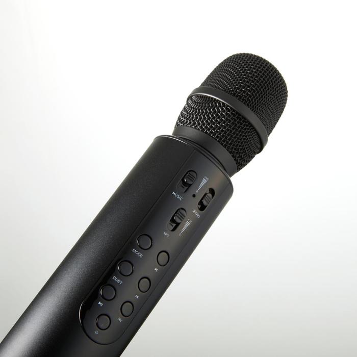 professional microphone