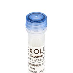 Multi RN-Exosome