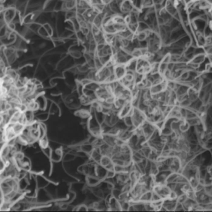 a close-up of the fibers