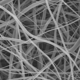 a close-up view of fibers