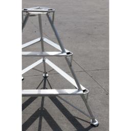 Triangular Ladder