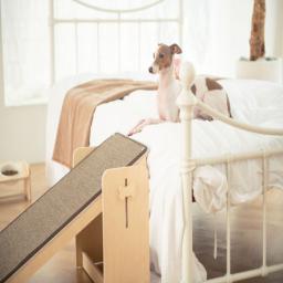 Height-adjustable dog stairs wooden slide steps