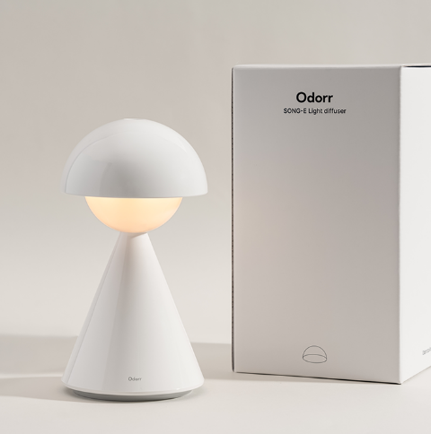 the table lamp