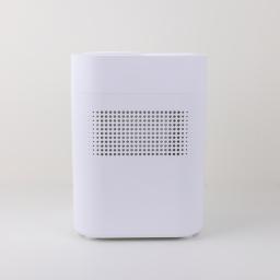 air purifier