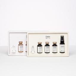 the gift box