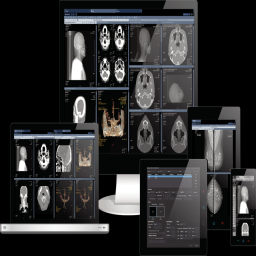 Various Displays for medical images