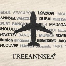an airplane and the names of the cities it flies through