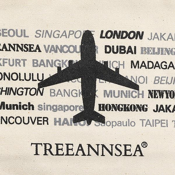 an airplane and the names of the cities it flies through