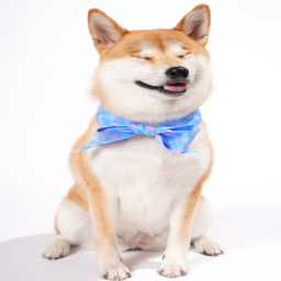 Pepetong Puppy Korean Traditional Culture Summer Ice Cool Scarf