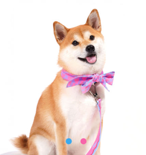 Pepetong Puppy Korean Traditional Culture Summer Ice Cool Scarf