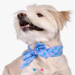 Pepetong Puppy Korean Traditional Culture Summer Ice Cool Scarf