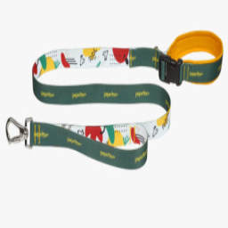 PEPETTON Standard Single Leash With Handle