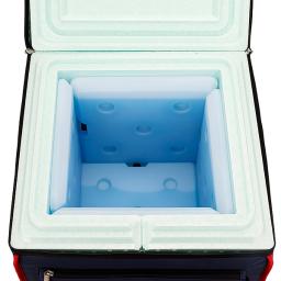 CUBE P17(Navy) + LTE Datalogger