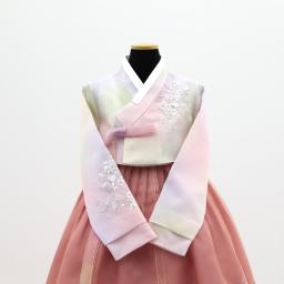 Cornelian Cherry Blossom 3D Embroidery Hanbok–Multi-Colored Jeogori &Layered Apricot Chima
