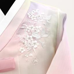 Cornelian Cherry Blossom 3D Embroidery Hanbok–Multi-Colored Jeogori &Layered Apricot Chima