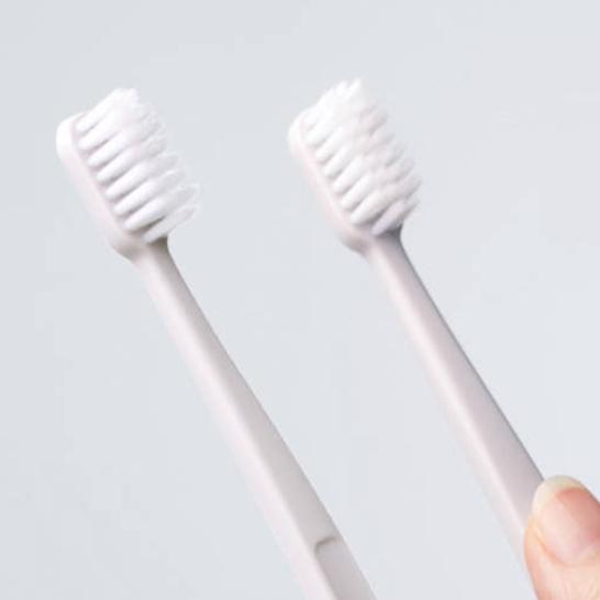 two toothbrushes