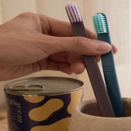 a toothbrush