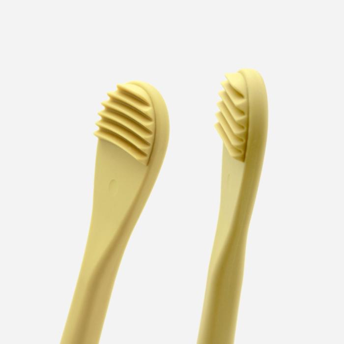 two toothbrushes