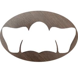 OZcare Pore Patch 5pcs
