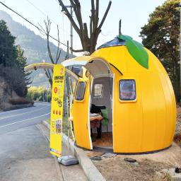EZDOME HOUSE