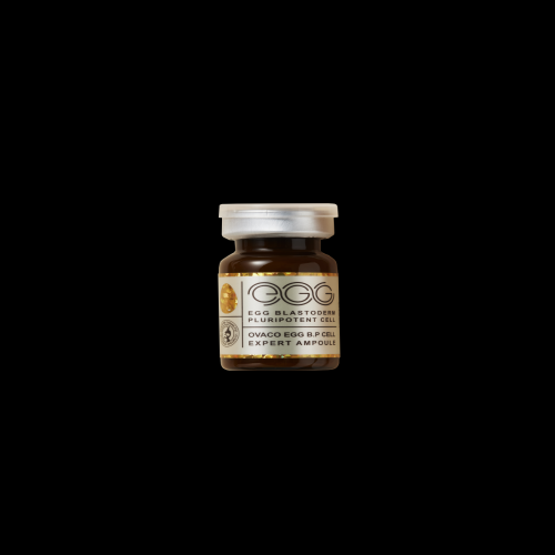 Egg BP Cell Expert Ampoule - wholesale | Find Korean Ampoules