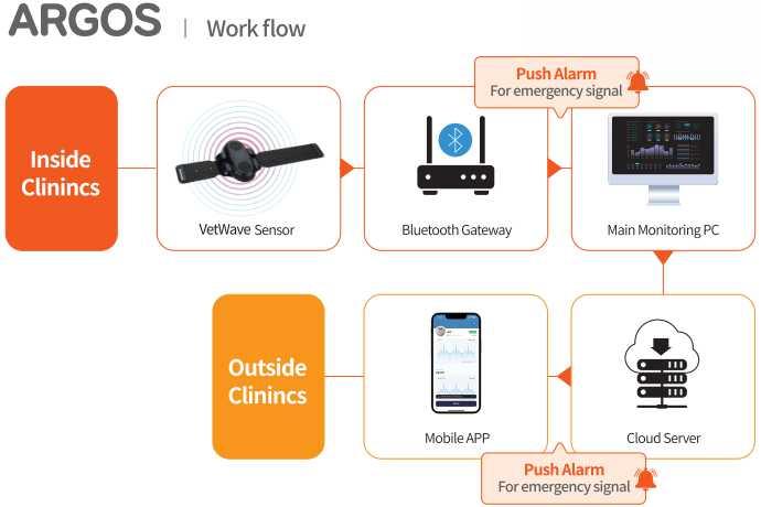 Check your patient's condition in real time on your mobile device, even outside the clinic.