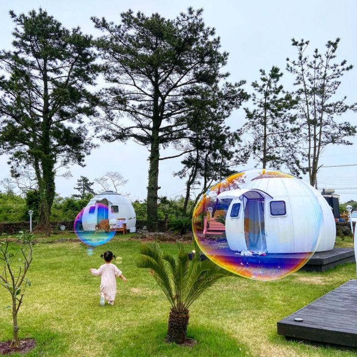 EZDOME HOUSE