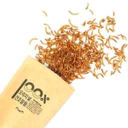 100% Original Dry Mealworms 40g