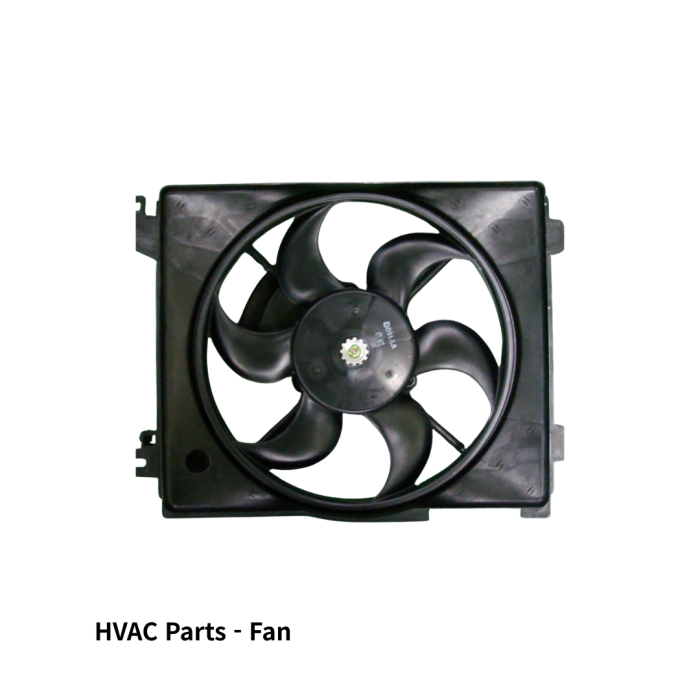 Fan and Shroud