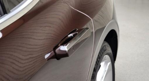 Auto Flush Door Handle (Pop-up / Swing type)